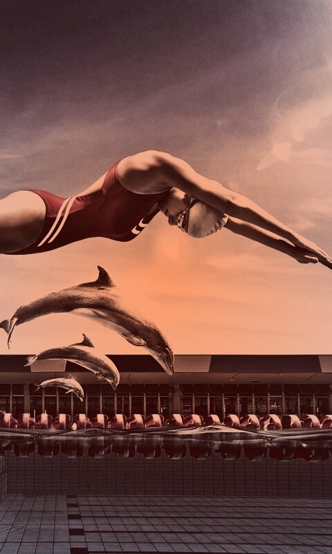 Соревнование обои