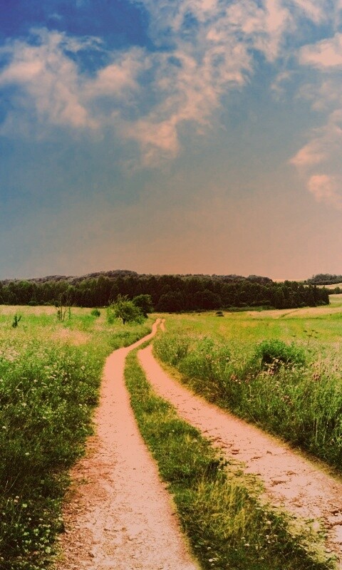 Дорога через луг обои