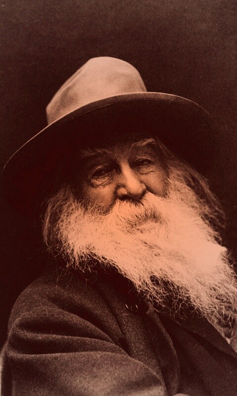 Уолт Уитмен обои