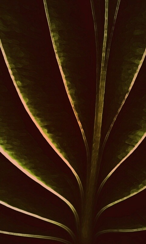 Неоновый лист обои