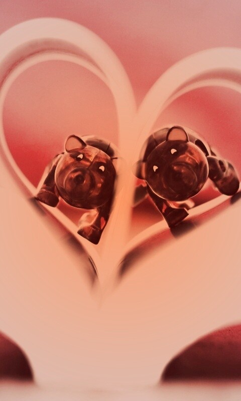 Фигурки мишек в книге обои