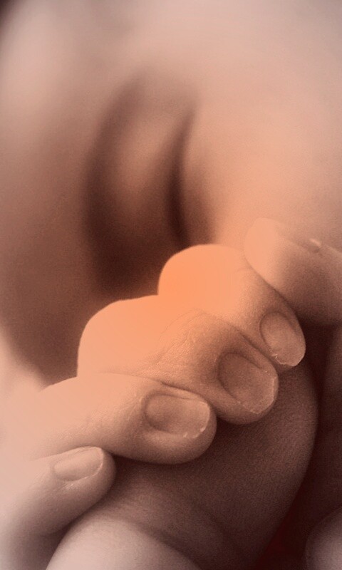 Младенец держит палец обои