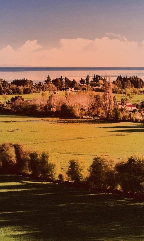 Сельская природа обои