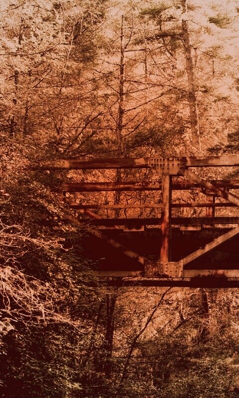 Металлический мост в лесной глуши обои