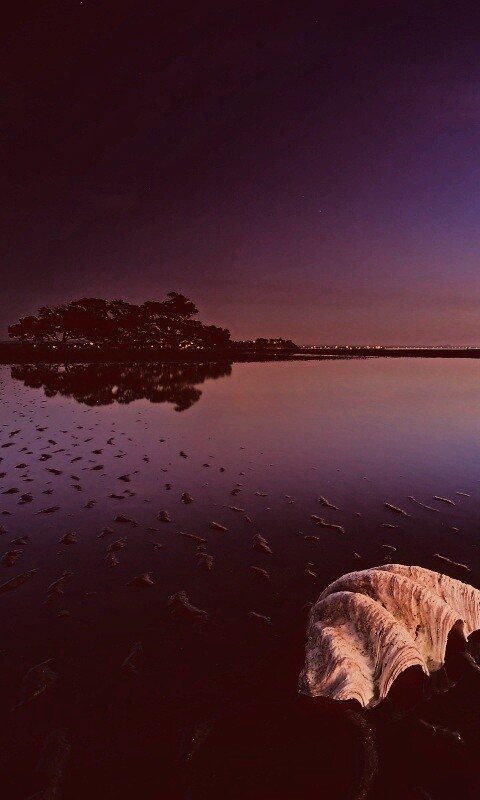 Закат на берегу моря обои