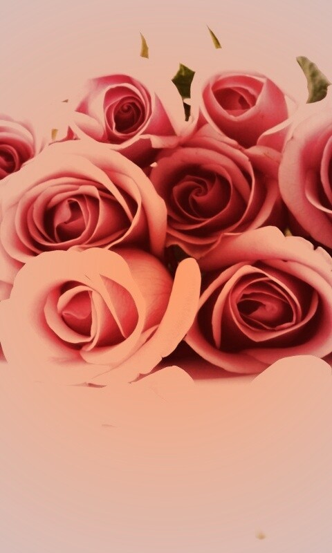 Букет роз обои