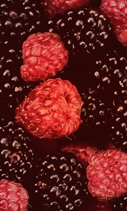 Малина и ежевика обои