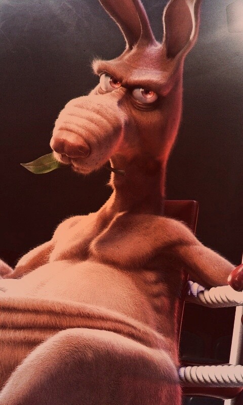 Кенгуру-боксер на ринге обои