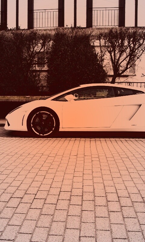 Белый Lamborghini обои