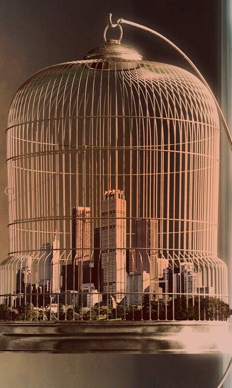 Город в клетке обои