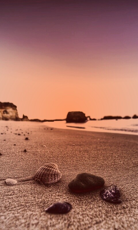 Океанский берег обои