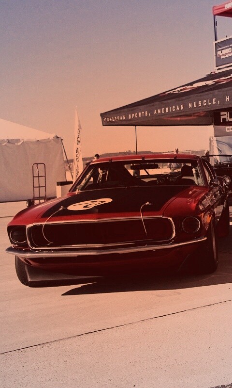 Мускул кары обои