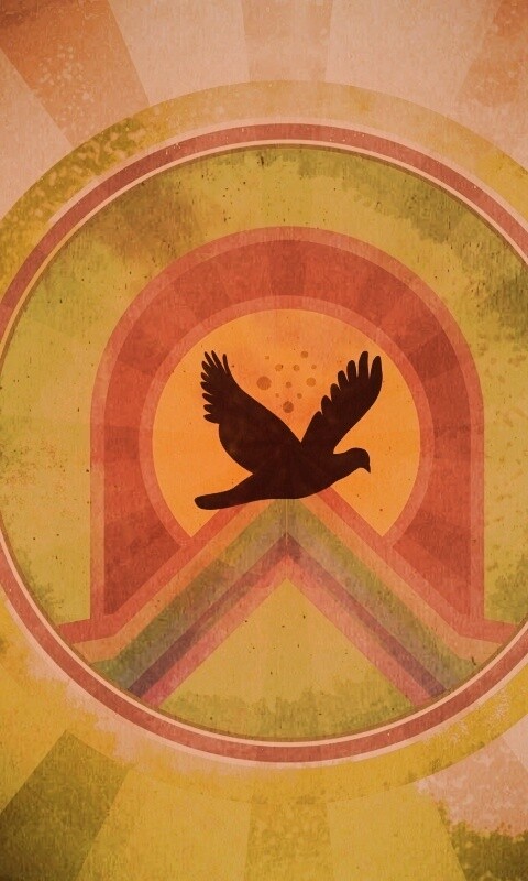 Голубь мира обои