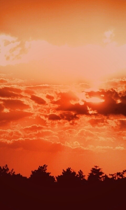 Ярко-оранжевое закатное небо обои