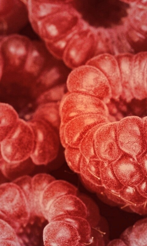 Вкусная малина обои