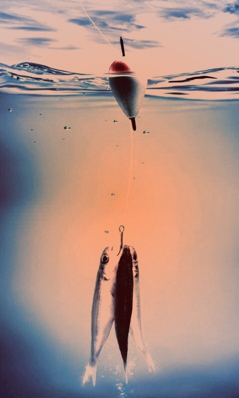 На крючке обои