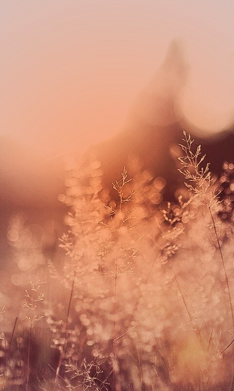 Посмотри на этот мир обои