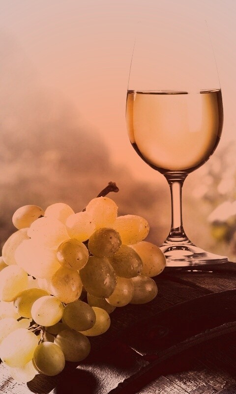 Винная бочка и бокал с белым вином обои