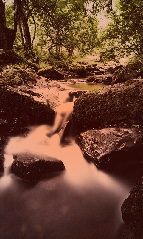 Речной поток в лесу обои