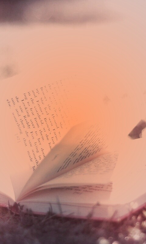 Книга в нежном свете обои