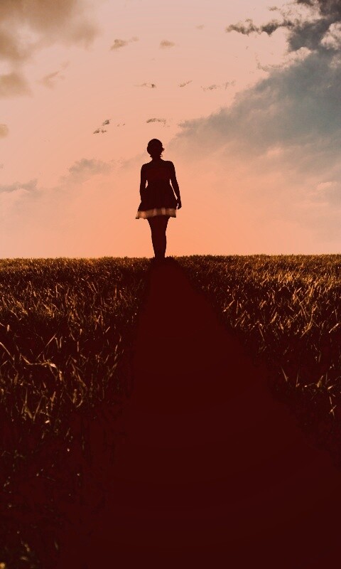 Силуэт девочки на поле обои