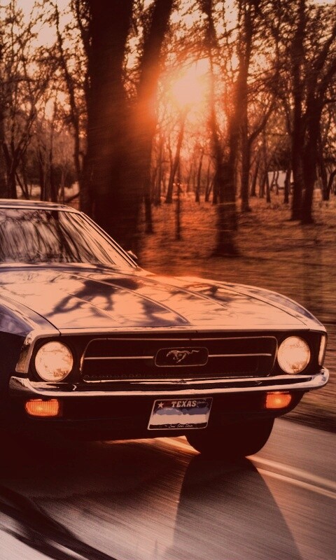 Мустанг обои