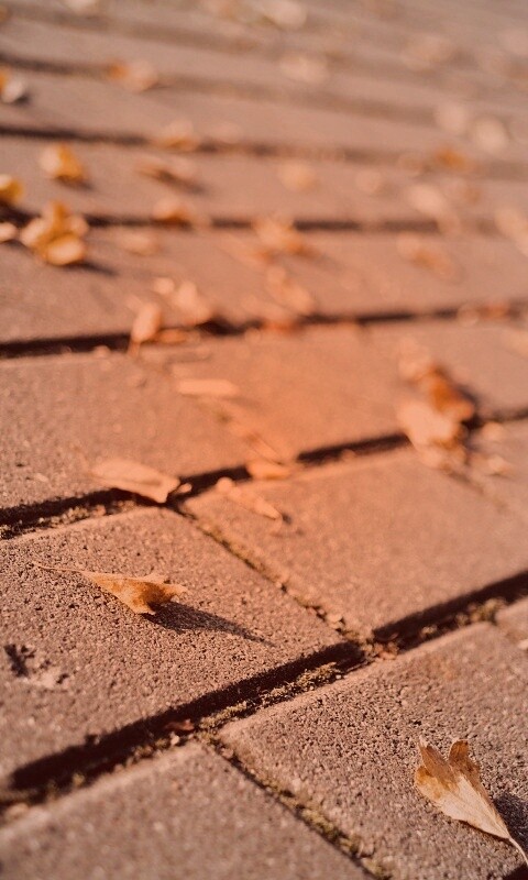 Тротуар обои