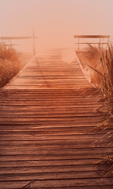 Выход к реке обои