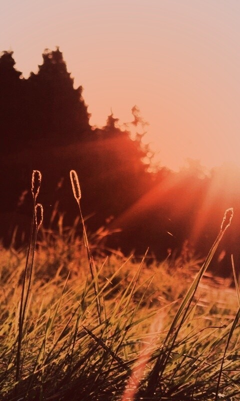 Красота природы обои