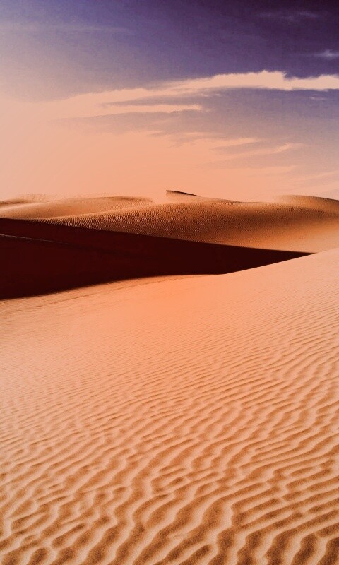Пустыня Сахара обои