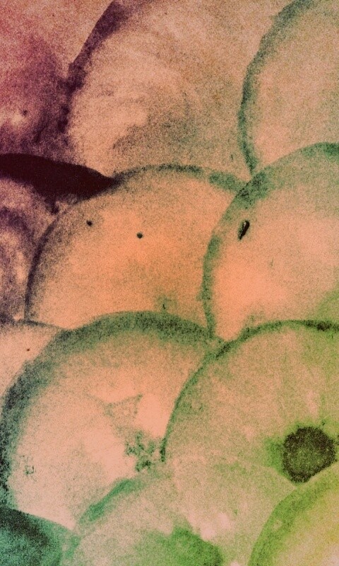 Радужные круги обои