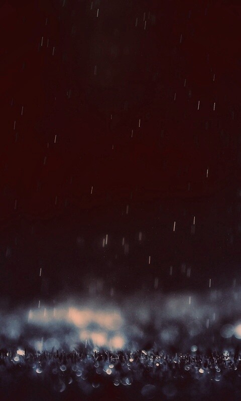 Макро фото дождя обои