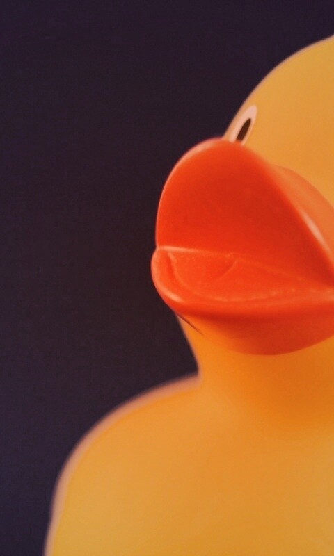 Резиновый утенок обои