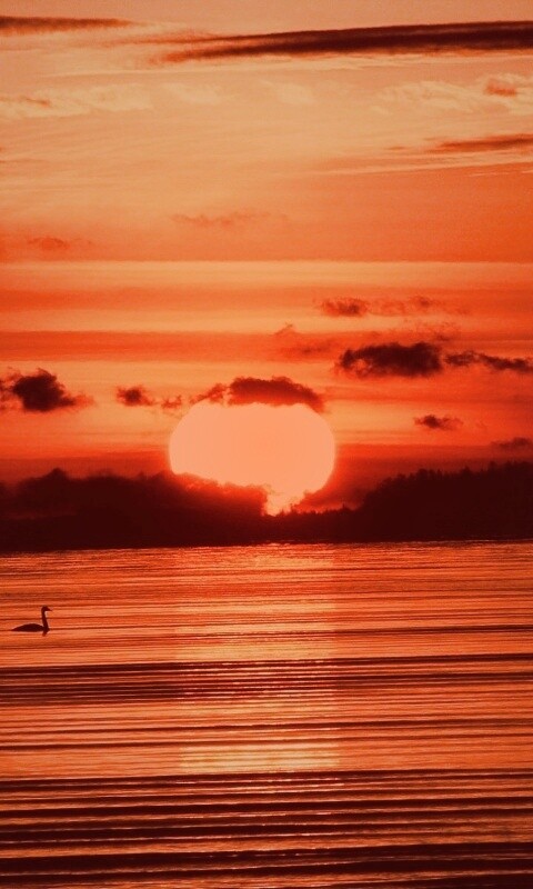 Великолепный рассвет обои