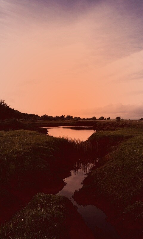 Канава и пруд обои