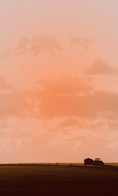 Прекрасный день обои