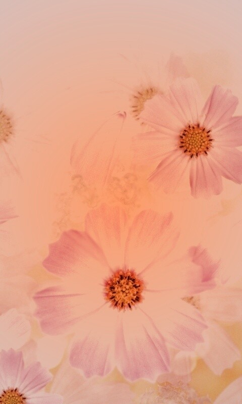 Цветочки обои