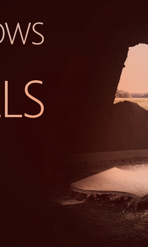 Windows против стен обои