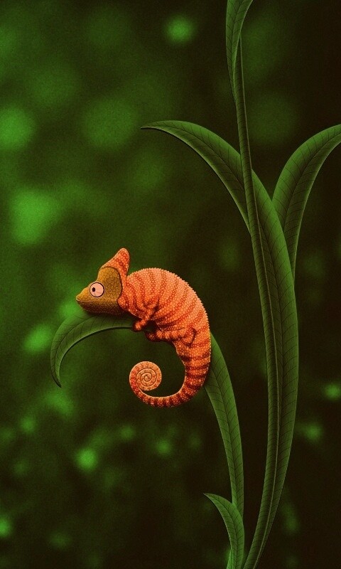 Хамелеон замаскированный под улитку обои