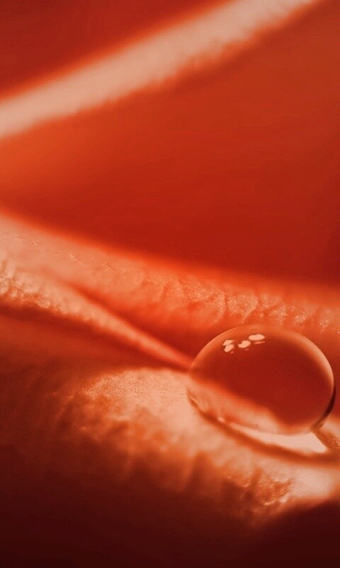 Капелька обои