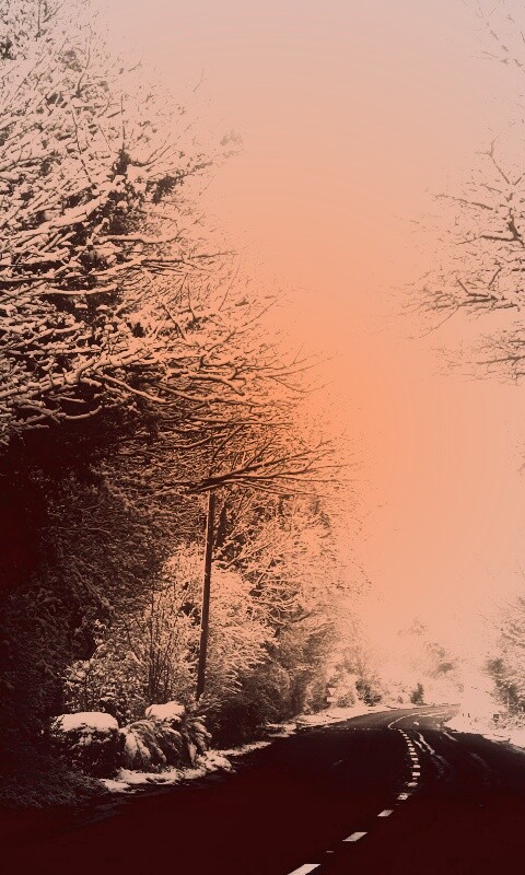 Дорога через зимний лес обои