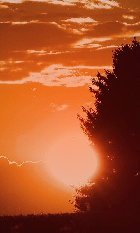 Теплый закат над полем обои