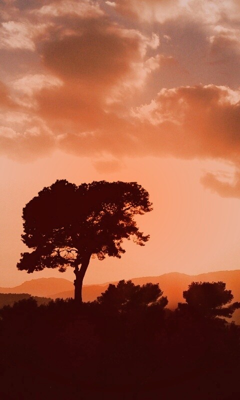 Закат над холмами обои