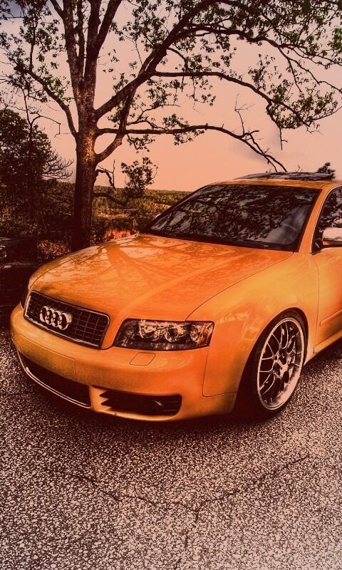 Желтый Ауди на дороге обои