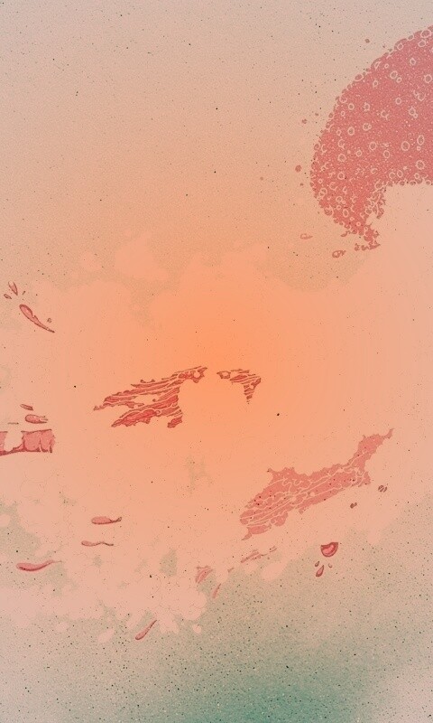 Розовая медуза обои