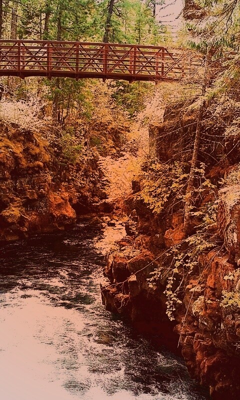 Мостик через реку в лесу обои