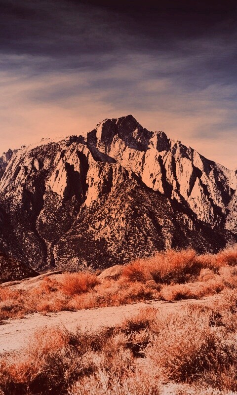 Горы у пустыни обои