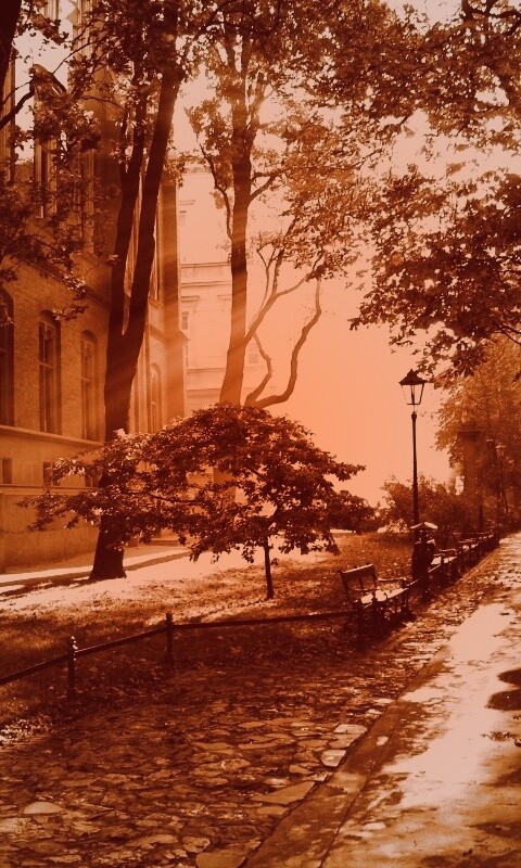 Аллея у здания обои