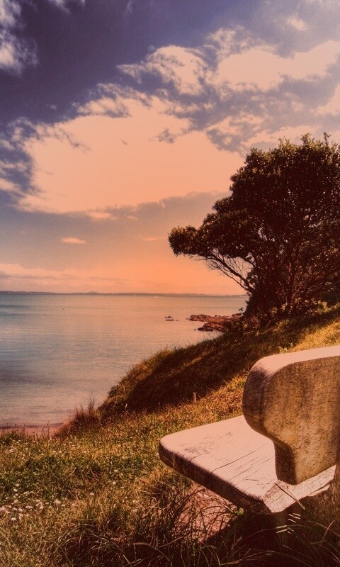 С видом на море обои