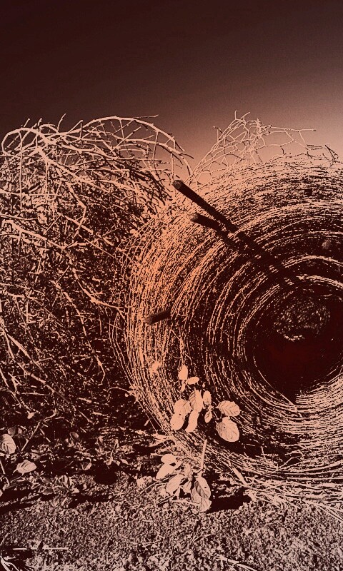 Клубок сена обои